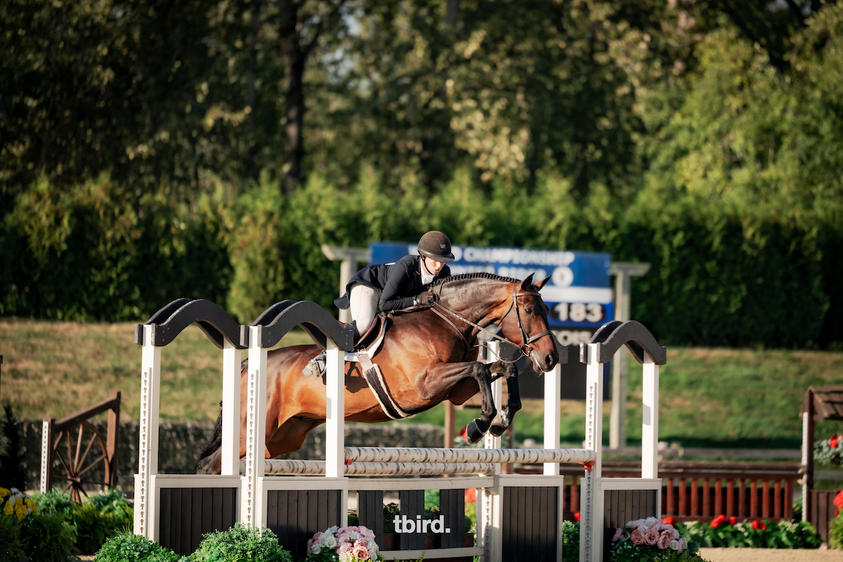 Tic Tac Toe Tops Foxstone Stable USHJA International Hunter Derby