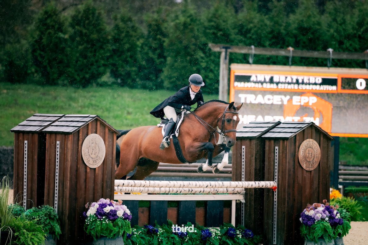 Epp & Heartvit ZH Hit Their Stride in Amy Brattebo Real Estate Open Canadian Hunter Derby