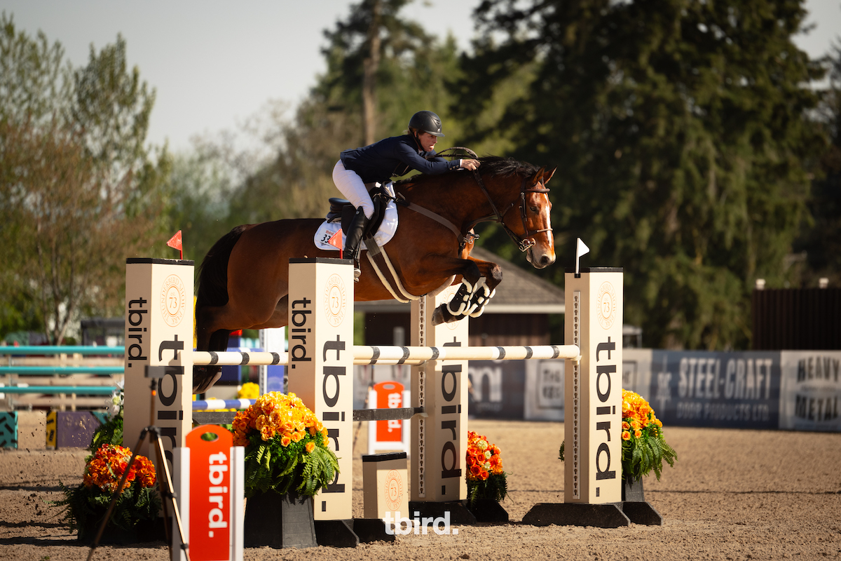 Carla Diewert and WH Corona Are Back on Top in Emily Sandhack Equestrian Realty 1.35m Open Jumper Classic