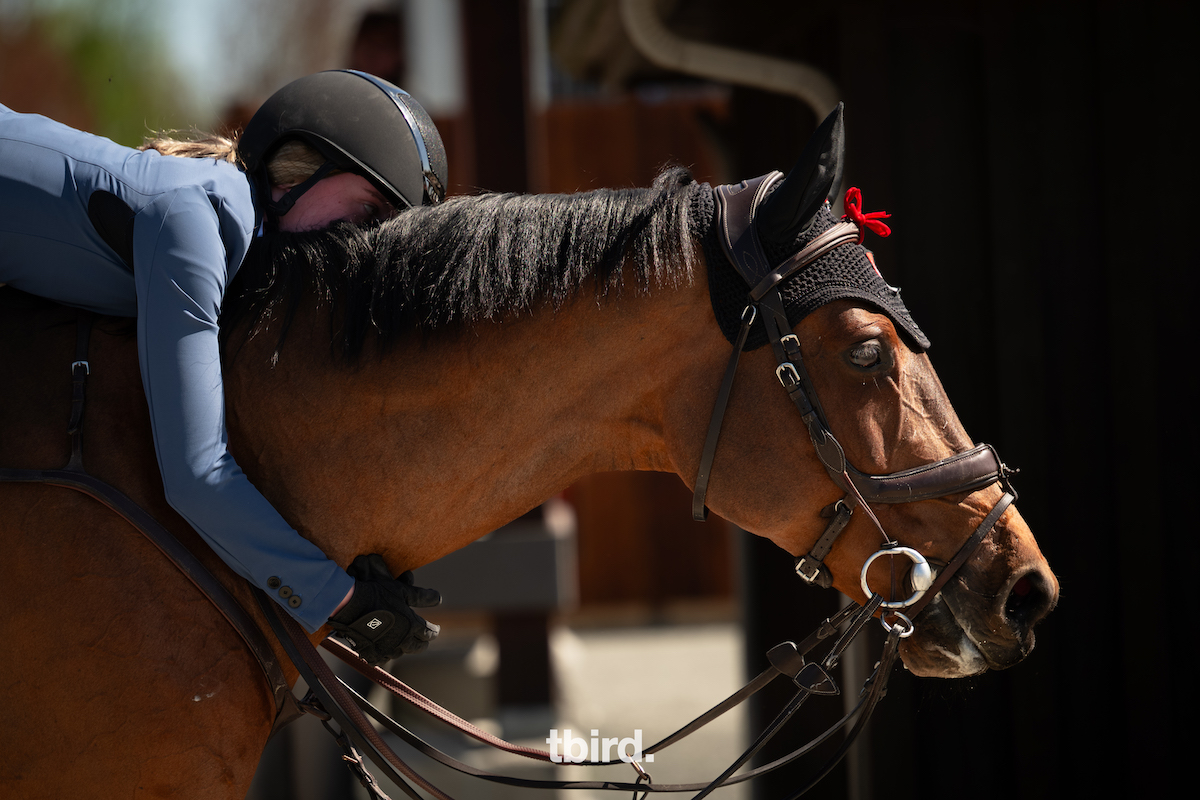 Rider Profile: Ashley McKissock Has Met Her Match in Coralissa