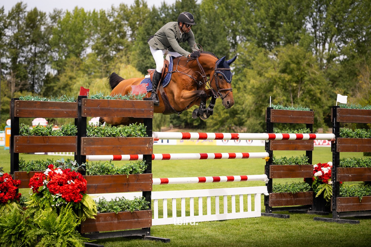 Building for the Future: Chawke & Nandos S Capture Milestone Win in Bradon Equestrian National Grand Prix